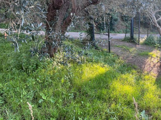 Terreno in vendita di 700 m² in Salita del Forte
