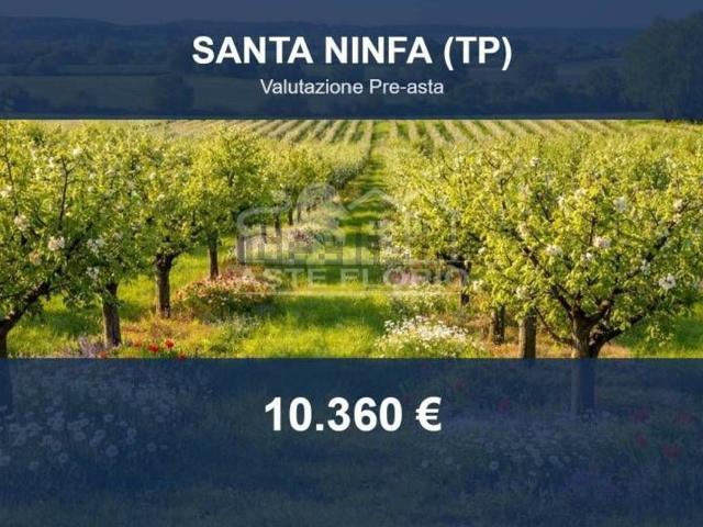 Terreno in vendita di 70260 m² in Strada Statale 119 di Gibellina