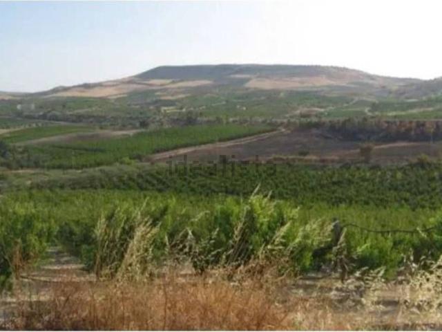 Terreno in vendita di 71420 m² in Strada Provinciale 79