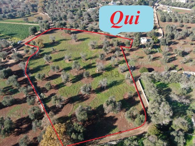 Terreno in vendita di 7176 m² in Contrada Rotondo