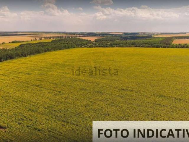 Terreno in vendita di 717 m² in Via Madre Teresa di Calcutta
