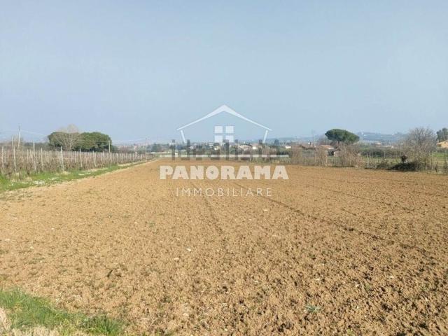 Terreno in vendita di 7180 m²