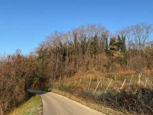 Terreno in vendita di 7123 m² in Via Tommasetto