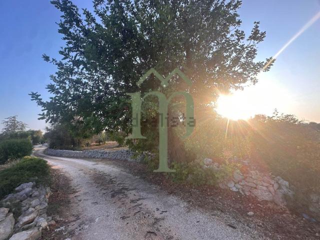 Terreno in vendita di 7126 m² in Contrada Fiscaluri