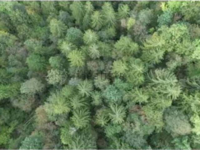 Terreno in vendita di 71337 m² in Via Pra de Luni