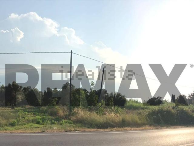 Terreno in vendita di 7260 m²