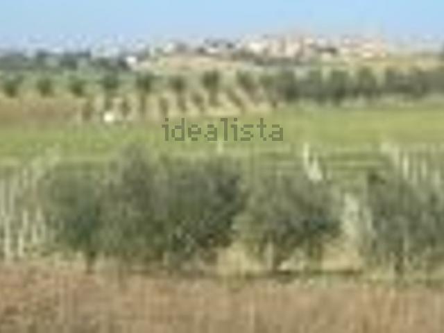Terreno in vendita di 7280 m² in Via Cesanense