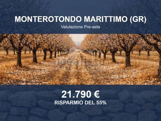 Terreno in vendita di 72094 m² in Piazza Mario Cheli