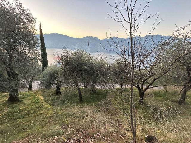 Terreno in vendita di 720 m² in Via Panoramica