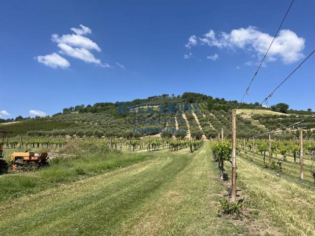 Terreno in vendita di 72 m² in Via Faentina, 95