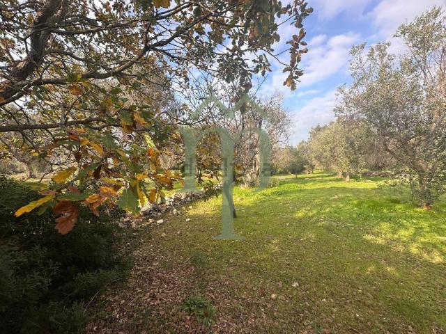 Terreno in vendita di 7343 m² in Contrada Veneri