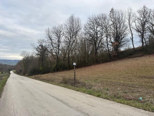 Terreno in vendita di 7340 m² in Contrada Barricella