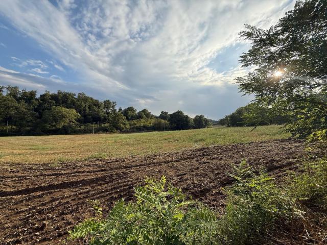 Terreno in vendita di 7340 m² in Strada Fastello