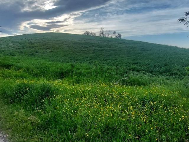 Terreno in vendita di 73795 m²
