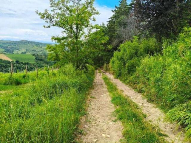 Terreno in vendita di 73834 m² in Via della Valle in Tessello