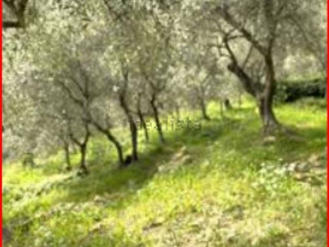Terreno in vendita di 7398 m² in Via Nostra Signora delle Grazie