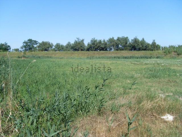 Terreno in vendita di 73000 m² in Viale della Murena