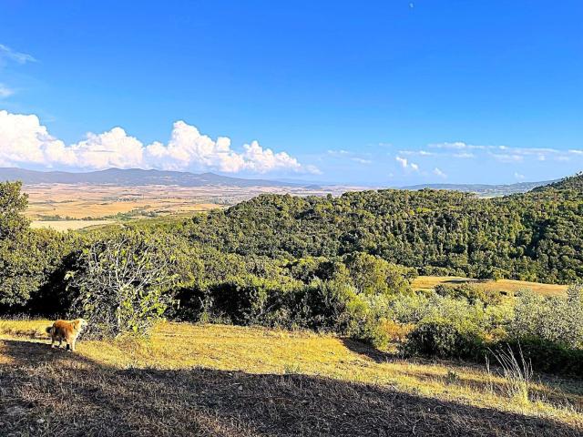 Terreno in vendita di 73000 m² in Località di Popogna la Concezione, 35