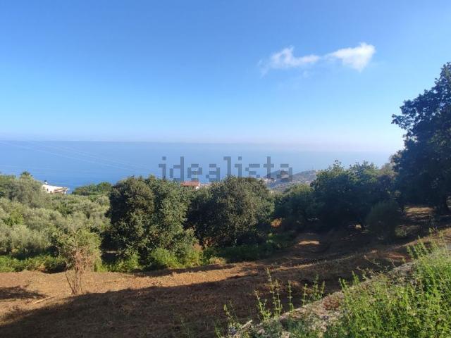 Terreno in vendita di 7453 m² in Contrada Catutè