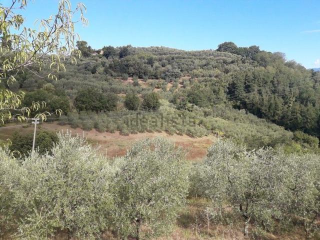 Terreno in vendita di 7400 m² in Via di Baco