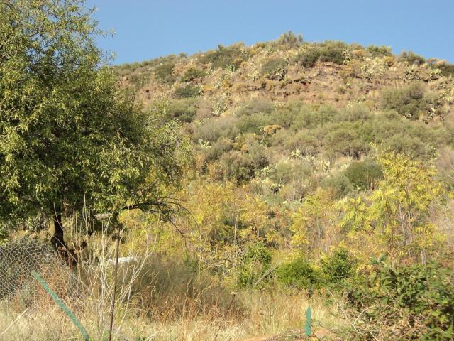 Terreno in vendita di 740 m² in Strada Provinciale 182