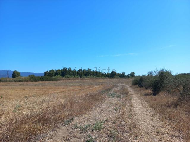 Terreno in vendita di 7415 m² in Via Provinciale