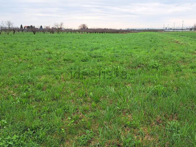 Terreno in vendita di 7438 m² in Via Cantarana