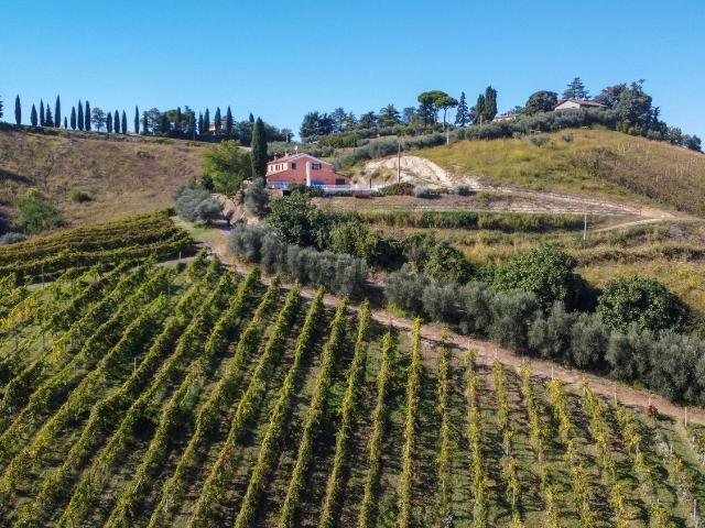 Terreno in vendita di 75579 m² in Via Madonna dell&apos Olivo, 4500