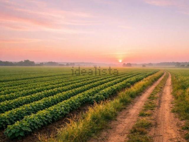 Terreno in vendita di 7565 m² in Strada Statale 115, 115