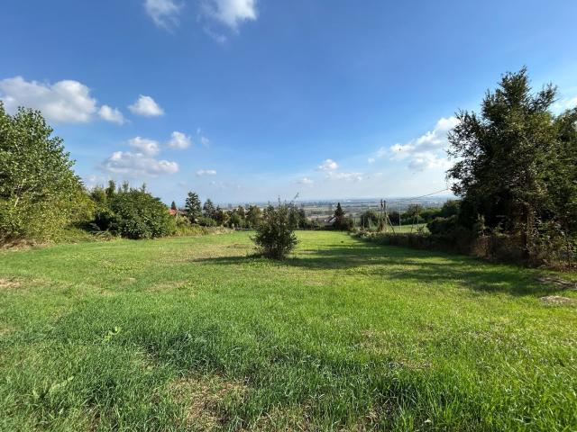 Terreno in vendita di 7590 m² in Via dei Bricchi
