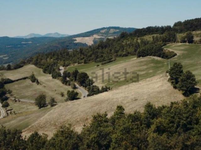 Terreno in vendita di 750000 m² in Località Murlo, 2