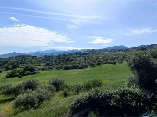 Terreno in vendita di 75000 m²