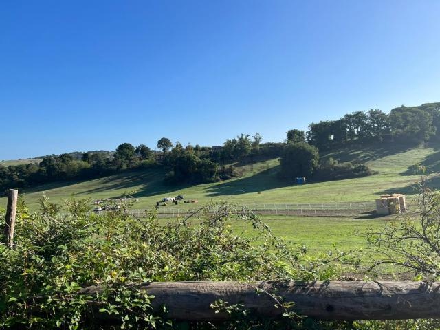 Terreno in vendita di 75000 m² in Località noceto