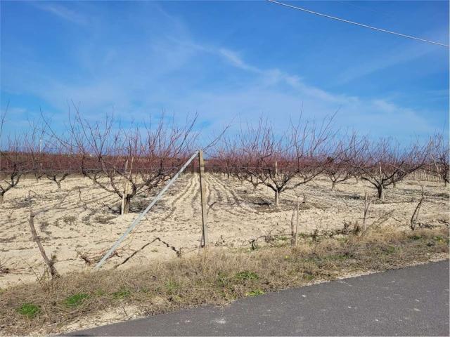 Terreno in vendita di 75000 m² in Strada Provinciale 69