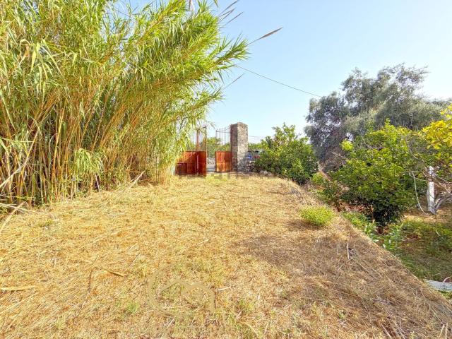 Terreno in vendita di 7500 m² in Strada 23