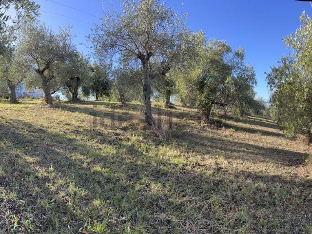 Terreno in vendita di 7500 m²
