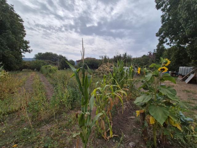 Terreno in vendita di 750 m²