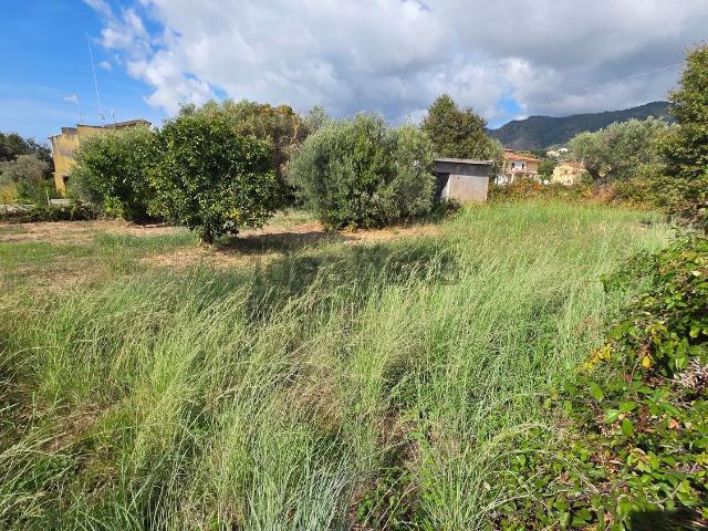 Terreno in vendita di 750 m² in Contrada Calabro