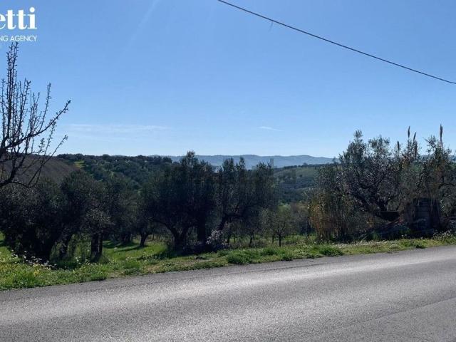 Terreno in vendita di 7640 m² in Contrada Serre, 4