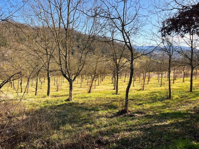 Terreno in vendita di 7625 m² in Via Colle Ferruma