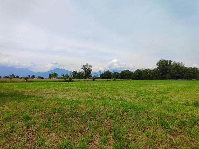 Terreno in vendita di 7777 m²