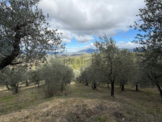 Terreno in vendita di 7700 m² in Strada di San Rocco, 18
