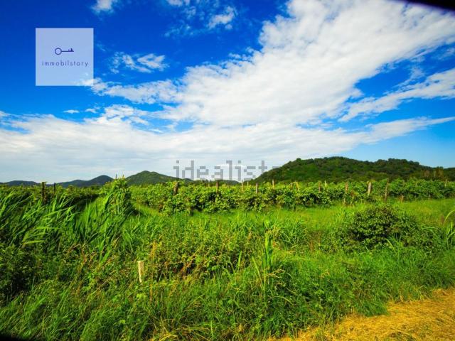 Terreno in vendita di 7720 m² in Via Monticelli