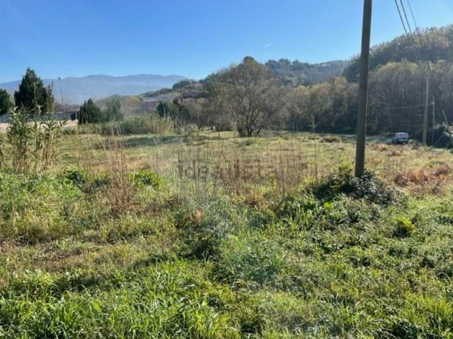 Terreno in vendita di 7730 m² in Contrada Cutura