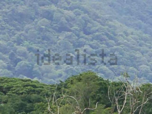 Terreno in vendita di 785232 m² in Via di Rendola