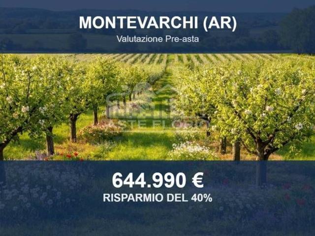 Terreno in vendita di 785232 m² in Via di Rendola