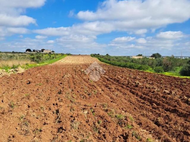 Terreno in vendita di 7863 m² in Via Margi