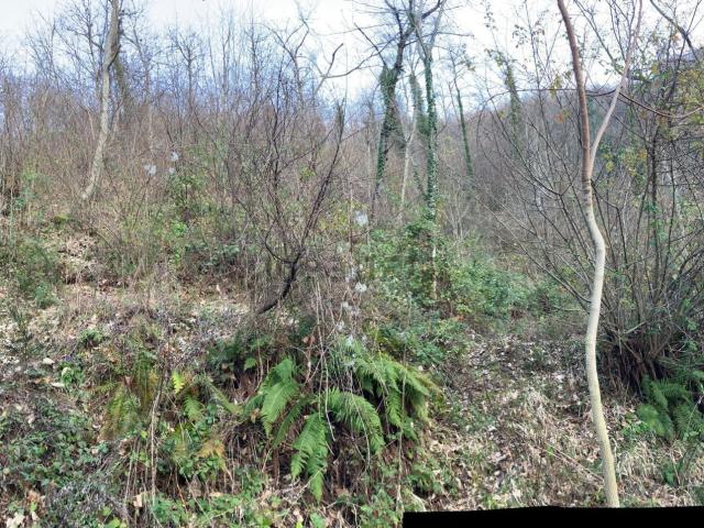 Terreno in vendita di 7950 m² in Strada Provinciale 105