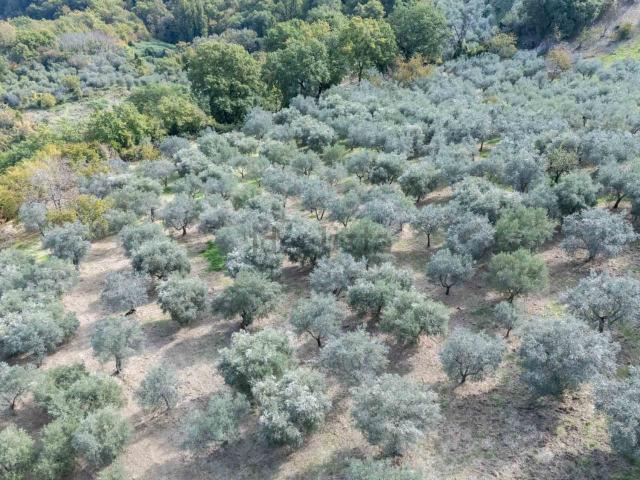 Terreno in vendita di 7990 m² in Via Selvi