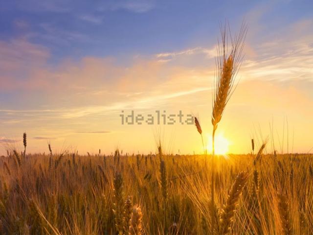 Terreno in vendita di 79000 m² in Via Manzoni